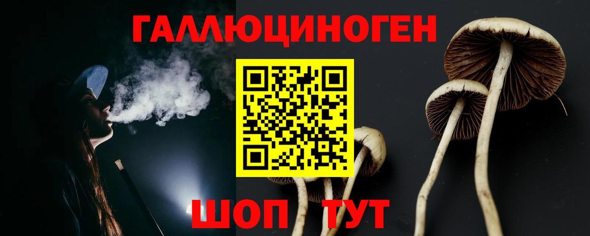 Галлюциногенные грибы Magic Shrooms Апрелевка